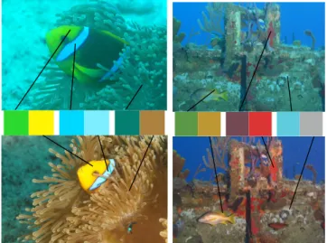 Fig. 1. Comparison of underwater imaging using white flash and adaptive illumination in a coral reef setting and a wreck setting