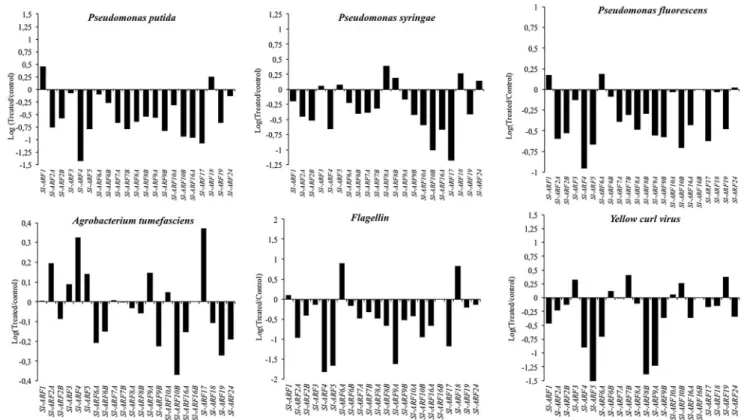 Fig 1. SlARFs gene expression in tomato plant leaves exposed to various biotic stresses: Flagellin, Pseudomonas putida, Pseudomonas syringae, Pseudomonas fluorescens, Agrobacterium tumefaciens and Yellow curl virus