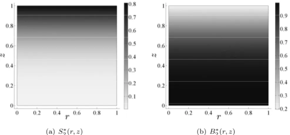 Figure 5. Representation of the steady-state solution (S ∗ 2 , B 2 ∗ ) of (2.4) computed numerically when Th B = Th S = e 4 , Da = e 2 , σ = 1, S init = 0.1, B init = 0.9 and µ being the nondimensional Monod Function with K S = 1 (so that µ(1) = 0.5).