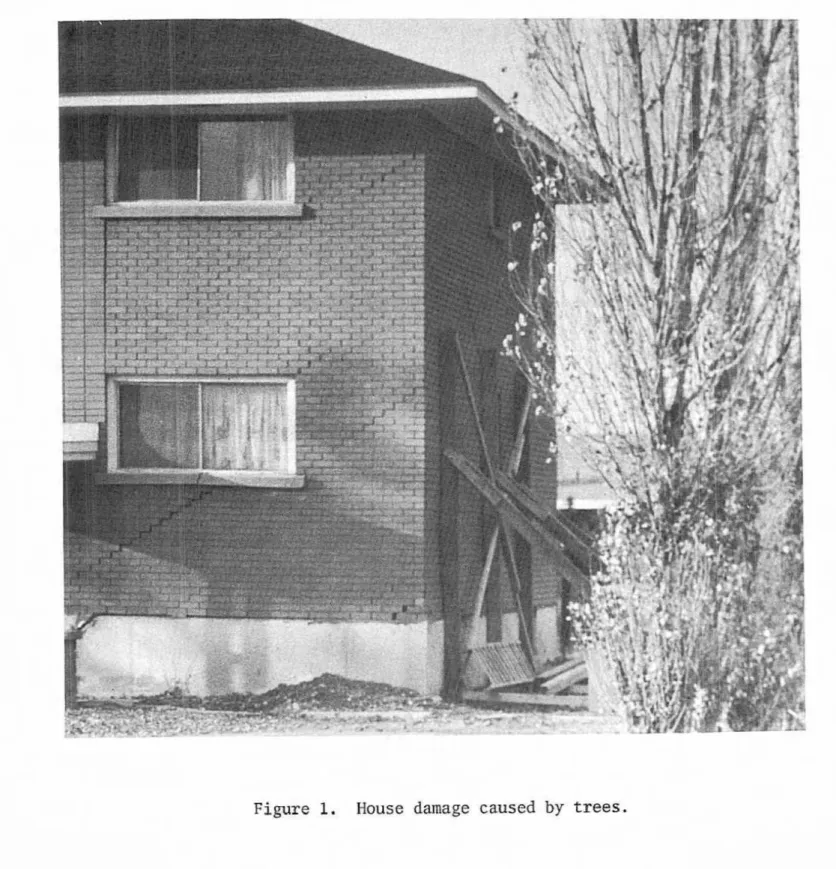 Figure 1.  House  damage  caused  by  trees. 