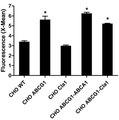 Fig 7. Mesure par cytométrie en flux du taux de phagocytose de nos lignées CHO. Les lignées  CHO ABCG1, CHO ABCG1-ABCA1 et CHO ABCG1-Cla1 présentent respectivement des taux  de phagocytose augmentés de 66%, 85% et 53% par rapport à celui de la lignée CHO  