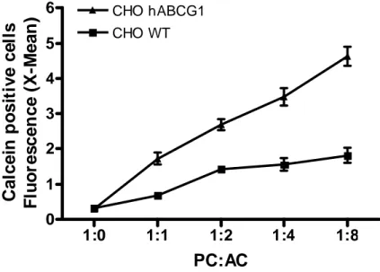 Fig 8. Comparaison des capacités phagocytaires des lignées CHO WT et ABCG1 en fonction  du nombre de cellules apoptotiques mises en présence