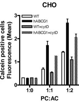Fig 9. Mesure des taux de phagocytose des lignées CHO WT et ABCG1 en présence ou non  d'un inhibiteur de la phagocytose : la cytochalasine D