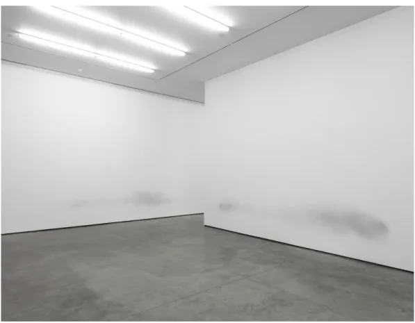 Fig. 11. Inside the White Cube Installation Turner, Daniel