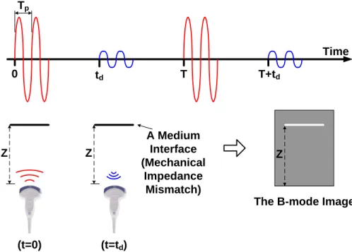 Figure 2-1: The typical signals and the operation for B-mode ultrasound.