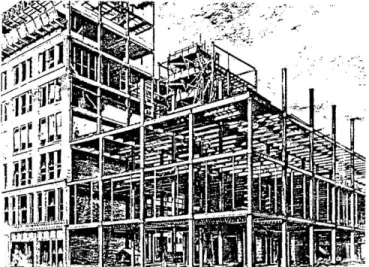 fig. 3-17  Fair Store,  Chicago,  1889-90