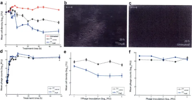 Figure 4.  Time-course  curves,  dosage response  curves,  and SEM  images  for engineered phage  treatment targeting E