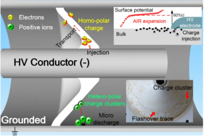 Fig. 1  Scenarios for charging phenomena and surface charge triggered  flashover for HVDC spacer due to AIR expansion [5] as well as charge  cluster evolution [6]