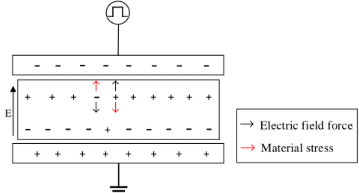 Fig. 10.  Change in space charge at a low-voltage level of 