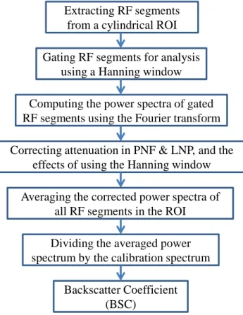 Figure 1.6: The major steps for estimating the backscatter coefficient (normalized and attenuation- attenuation-corrected local power spectrum) of the backscattered RF signals within a cylindrical ROI.