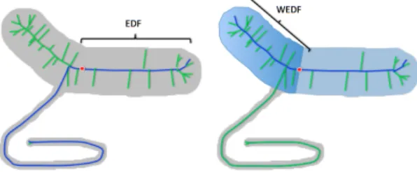 Fig. 1. A 2D shape (grey) and its internal medial axis (green and blue curves).