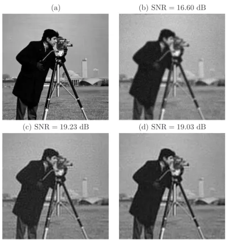Figure 1 shows the reference cameraman image (a), the degraded one (b) and restored ones using AA (c) and SA (d)