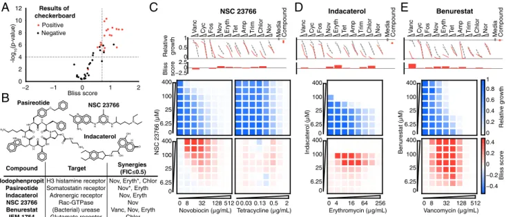 Fig. 4. Validation of hits from primary screen. (A) In eight-point checkerboard assays with E