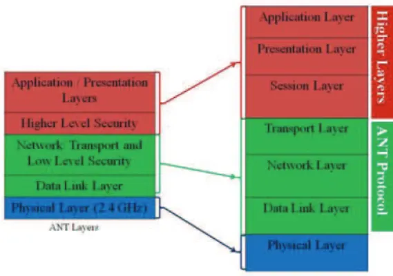 Figure 1. Correspondence between the ANT  model and the OSI model 