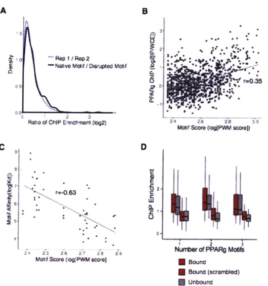 Figure  S2.  Sequences with stronger ChIP  enrichment at the disrupted motif site than the  native motif site contain multiple PPARy motif sites or weak motif sites.