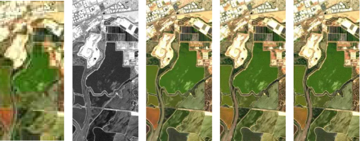 Fig. 4. Hyperspectral pansharpening results. 1st column: HS image. 2nd column: PAN image