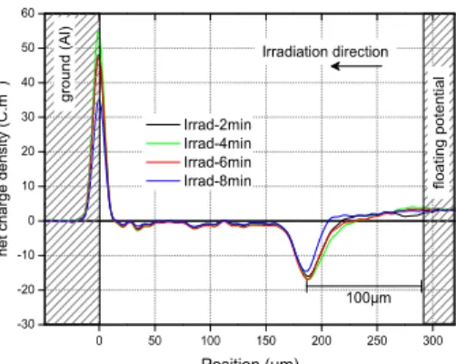 Fig. 2 presents the space charge profiles function of the  position in the sample for different irradiation times
