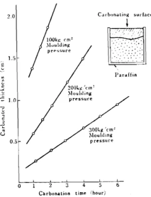Fig.  1  Carbonated  thickness  of  specimen 