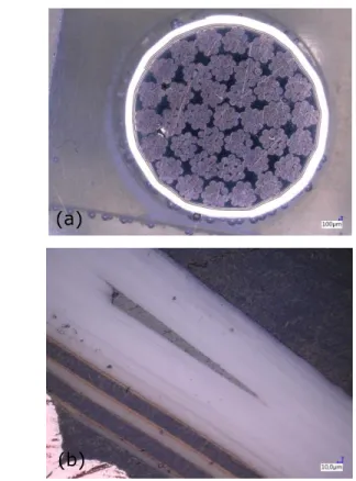 Fig. 4. PEA measurement in the calibration phase Fig. 2. Section of aircraft cable with copper alloy (a), with focus on 