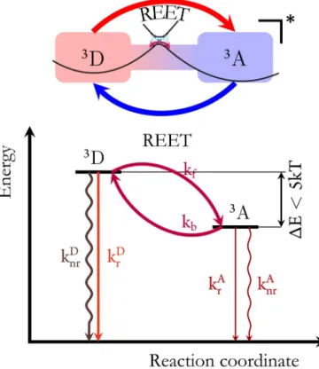 Figure 1. Schematic representation of reversible electronic energy transfer between triplet states of matched chromophores (D and A) and key kinetic and energetic prerequisites.