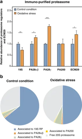 Figure 2.  Oxidative stress dissociates 26S proteasomes into free 20S proteasomes. (a) Relative abundance of  the different proteasome regulators and ECM29 bound to 20S proteasomes under oxidative stress induced by   H 2 O 2 