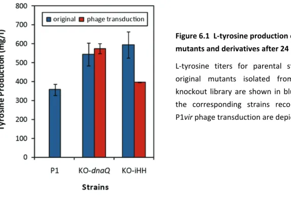 Figure 6.1  L‐tyrosine production of knockout  mutants and derivatives after 24 hr 
