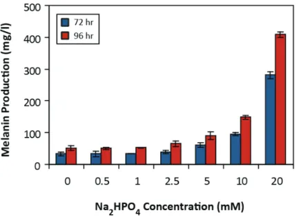 Figure 5.4  Melanin production by E. coli K12 ΔpheA ΔtyrR pTrcmelA mut1  in MOPS minimal medium  with different amounts of Na 2 HPO 4  supplementation 