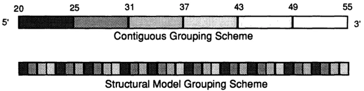 Figure  0.2.  Any  sequence  can  be  broken  into  smaller groups  of residues to  be  mutagenized  independently