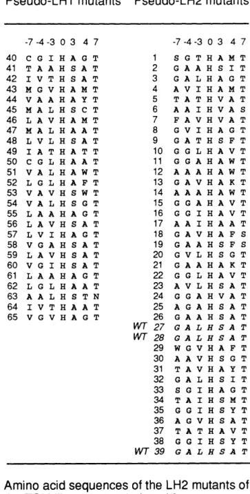 Table  3.1  Sequences of TSM  library  mutants Pseudo-LH1  mutants  Pseudo-LH2  mutants