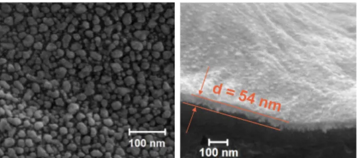 Figure 2.  Left:  SEM  image  of  the  AgNPs  layer  deposited  on  LDPE  substrate;  Right:  SEM  cross-section  of  the  AgNPs/SiO x C y :H  stack  on  LDPE substrate