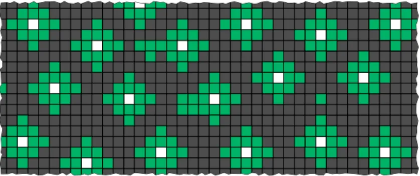 Figure 5: Example of a configuration of Y 2 for the group Z 2 with the canonical generators