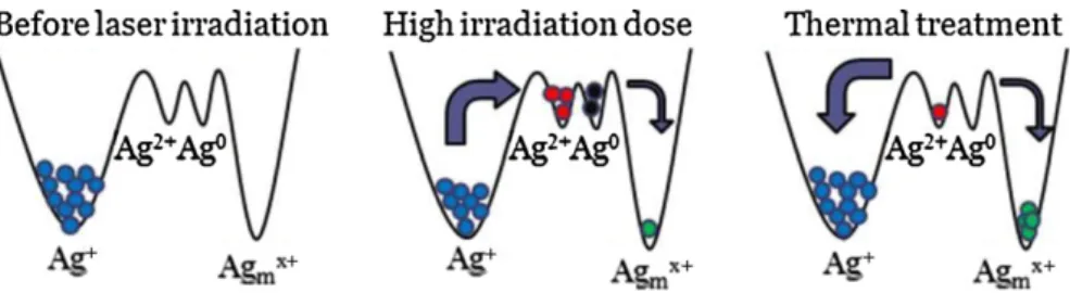Fig. 7. Schematic representation of the evolution of the different silver species before irradiation (left), after high dose irradiation (middle) and after heat treatment (right).