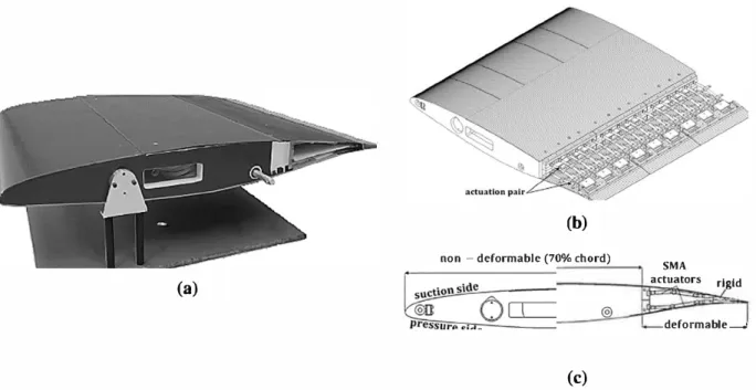 Fig. 8. The Morphing Wing Prototype (  MWP): (a) photograph of the electroactive hybrid MWP, (b) 30 CAO schematic with the upper skin removed on the deformable part to  reveal the SMA-based actuation, and { c) wing cross-section with one of the 18 actuatio
