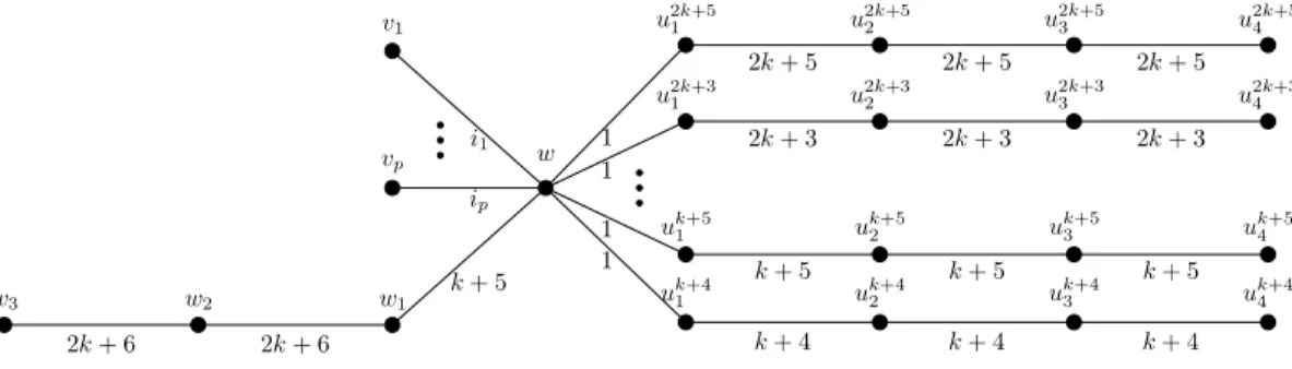 Figure 2: A representation of a tree T (S).