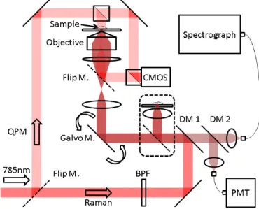Fig. 1. Home-built multimodal microscopy system. The system incorporates confocal Raman,  quantitative  phase  contrast,  confocal  reflectance  and  bright  field  microscopes
