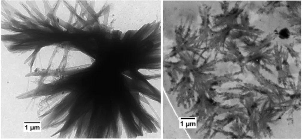 Figure 4. Representative TEM images of P(GMA 65 -stat-(MAm-GFF) 7 ) macro-CTA in MilliQ water at  0.1% w/w at ambient temperature (about 30°C) (left) and at 70°C (right)