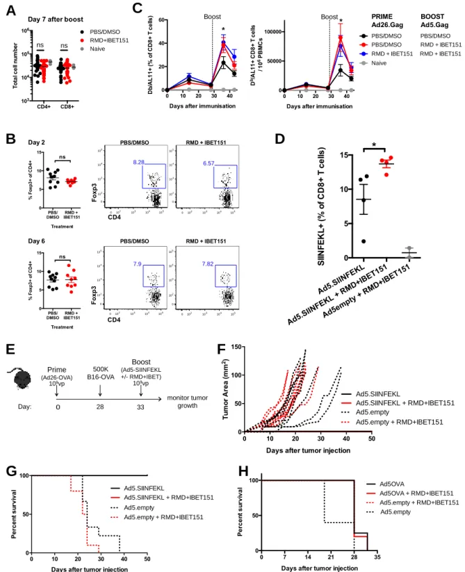 Fig. S1. RMD+IBET151 increases adenoviral-vector elicited T cell responses and confers superior protection against B16  melanoma
