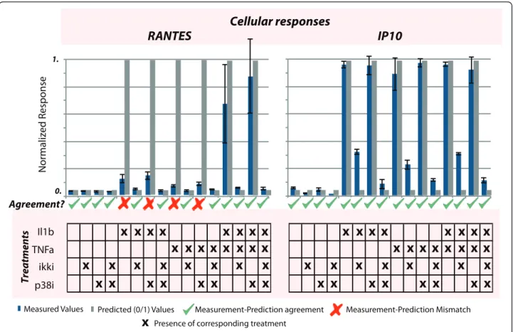 Figure 4 Validation of the hybrid model predictive power and evaluation NFkB and p38/HSP27 pathways in the release of RANTES and IP10 cytokines in Huh7 cells