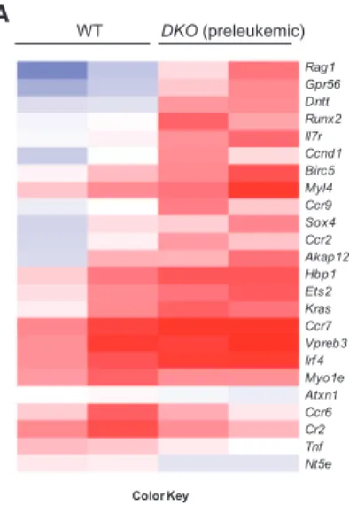 Figure 7. B-ALL DKO B220 + Cells Had Altered Expression of Genes Implicated in Human B Cell Malignancies