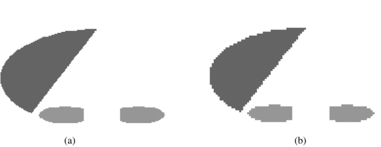 Figure  6:   Two-dimensional  voxel-based  representation  of  the  liver  and  kidneys  of  the  adult  ORNL model with two voxel sampling sizes: 1.58 x 1.58 x 5 mm 3  (a) and 3.16 x 3.16 x 5 mm 3  (b).