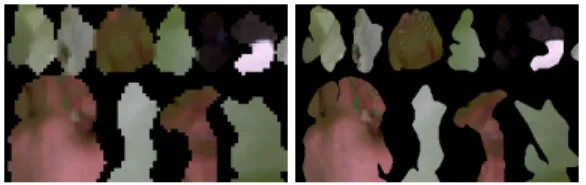 Figure 4: Appearance samples on a mesh texture model with triangles exhibiting varying appearance resolutions: