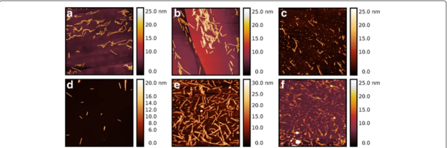 Fig. 6 AFM imaging of TMV using tapping mode in liquid environment. Top row (a, b, c) is TMV deposited on HOPG whereas bottom row (d, e, f) corresponds to TMV deposited on Nickel pre-treated mica