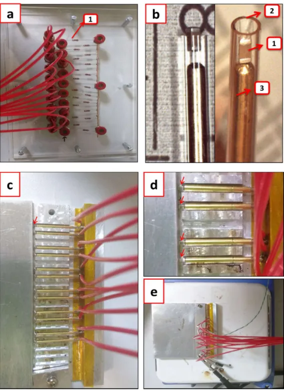 Figure 4. (a) Plate with the protective resistors (1) connected in series with each sample; (b) View of  an  MLCC  (1)  inside  the  glass  capillary  (2)  together  with  a  spring  (3);  (c)  View  of  the  assembled  connections  (cables  +  springs)  t