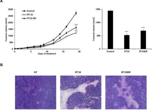 Figure 8. RT33 and RT33DR inhibit tumor growth in vivo in a mouse model for the Sézary syndrome.