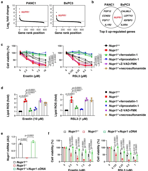 Fig. 1 NUPR1 acts as a repressor of ferroptosis. a A NanoString technology-based screening of differentially expressed tumor-associated genes in PANC1 and BxPC3 cells following treatment with erastin (10 µ M) for 24 h