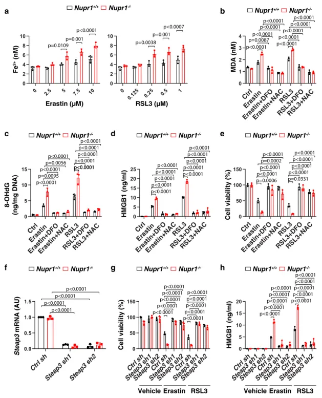 Fig. 2 NUPR1 inhibits iron-dependent oxidative damage in ferroptosis. a Fe 2+ levels in indicated mPDAC cells following treatment with erastin or RSL3 for 24 h (n = 3 well/group, two-way ANOVA with Tukey ’ s multiple comparisons test on all pairwise combin