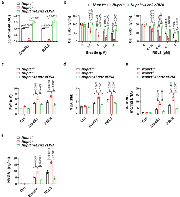 Fig. 4 Re-expression of LCN2 rescues ferroptosis resistance in Nupr1 -de ﬁ cient cells