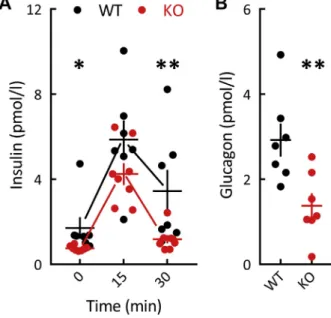 Figure 2: Middle-aged GluK2  /  mice have reduced basal and glucose-stimulated insulinemia as wells reduced fasting glucagonemia