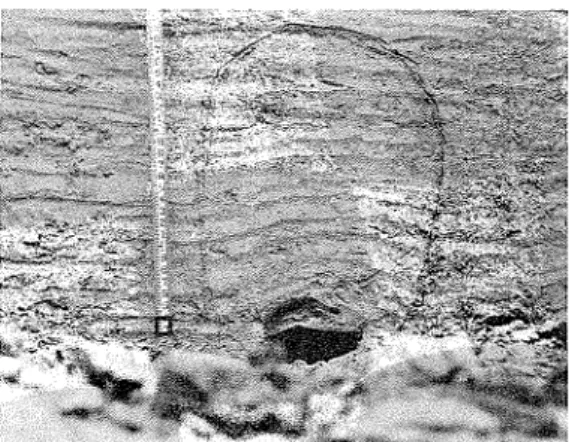 FIG. 7.  Deformation  of  frozen  varved  soil  above  plate  anchor, Thompson. 