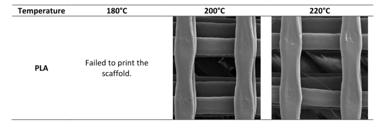 Table 5. SEM images of printed scaffolds at different 3D printing temperatures 365 